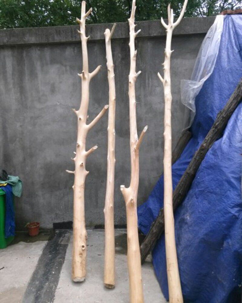 天然干树枝装饰隔断造型树摆件天然原木干枝屏风S枯木橱窗玄关加