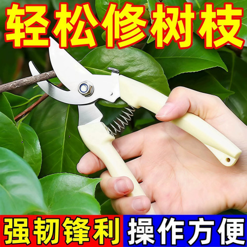 园艺剪修枝剪园艺锋利剪刀
