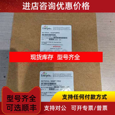 Entegris 英特格 高纯过滤器 WG2FT1RR2