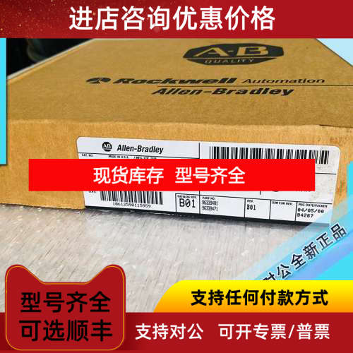 1771-DBMEM1 罗克韦尔 AB Eeprom存储器模块/8k字节图片