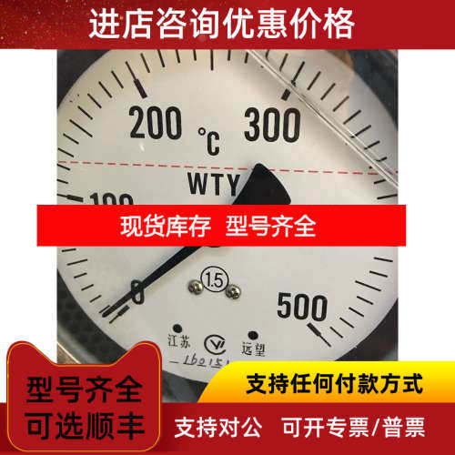 JIANSU YUANWANG 压力式温度计 WTY-403 0-500℃ 250mm