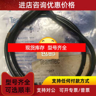 TeamTec焚烧炉光敏电阻7587探测器