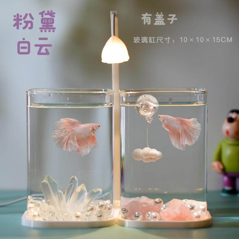 泰国斗鱼专用双缸高透小型懒人造景玻璃桌面创意鱼缸宿舍小夜灯