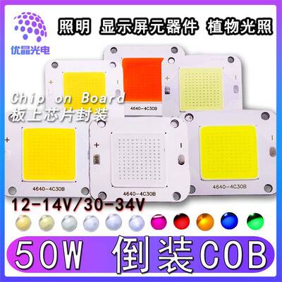 4640倒装COB集成50W灯珠12V全光谱白光粉光 红光绿光蓝光厂家LED