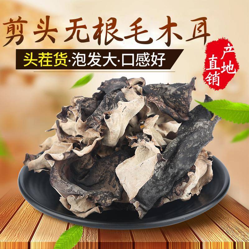 现货白背木耳无根毛木耳干 干货地耳脆木耳东北粗大小黑木耳干 干