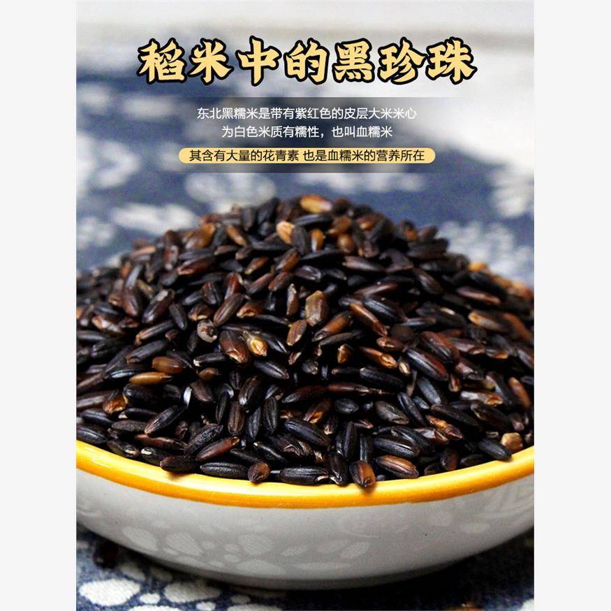 现货永祥龙血糯米东北农家黑米粽子紫江米奶茶当季新五谷杂粮酿酒