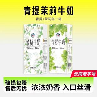 新货乍甸高原牧场青提牛奶/茉莉牛奶200g*8盒营养早餐多口味