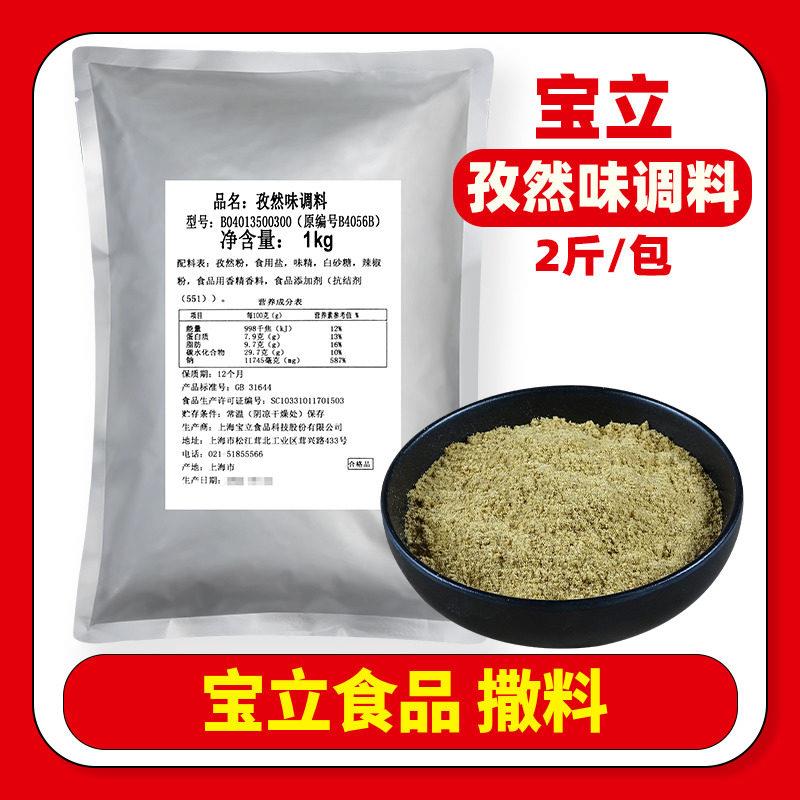 现货宝立孜然粉商用撒料烧烤专用大袋装炸鸡排调味料烧烤调料特细