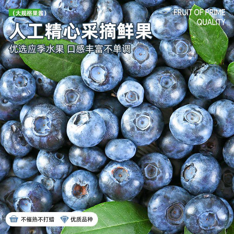 现货果酱夹心面包蓝莓果馅5kg蛋糕夹心烘焙商用蓝莓酱果粒馅果酱