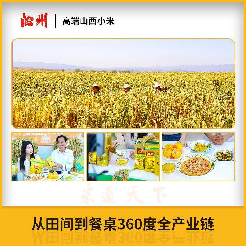 现货山西沁州黄小米500g*7包山西特产小米新米五谷杂粮沁州黄小黄