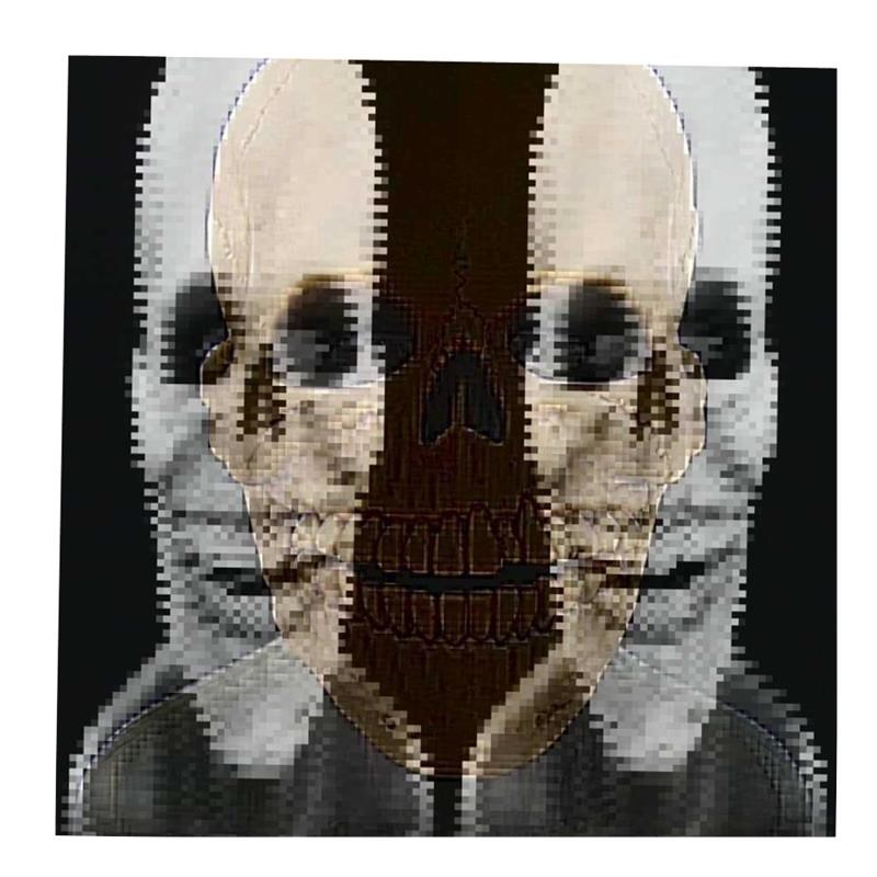 Halloween skulll mask Skull mask with skull mask万圣头骨面具