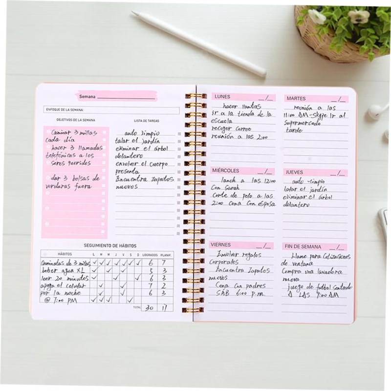 A5 Agenda Plianner Notebook Diary Weekly Planner Goal Habit