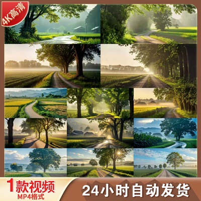 高清乡村振兴春景乡间路清晨绿水青山美丽田园延时摄影视频素材