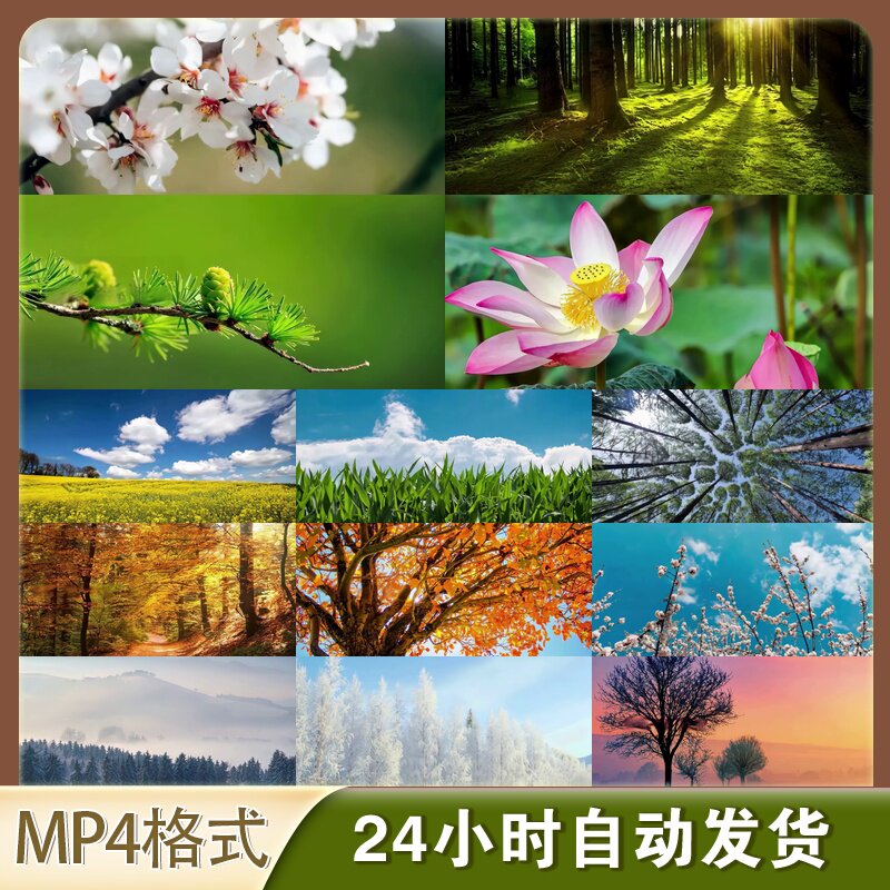 4K高清视频素材四季风光纪录片延时春夏秋冬自然变换空镜素材合集