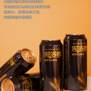 迎客松全麦原浆精酿啤酒麦芽浓度12°P500ml 6瓶整箱麦香网红精酿