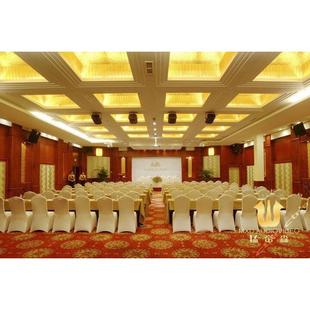 深圳市会议室音响系统会议室娱乐多功能音响设备套装会议音响