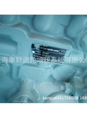 适用洛拖的原装喷油泵51N4BH6P6S4L-DL-310100F不带调速器