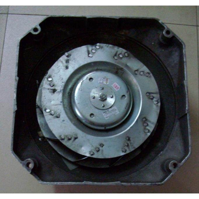 A90L-0001-0557RT8938-024W-B30R-S01,鲜花速递/花卉仿真/绿植园艺,割草机/草坪机,淘宝优惠券,粉丝福利购,淘宝优惠卷