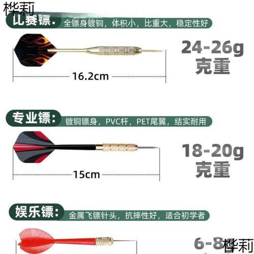飞镖盘室内家用专业户外比赛训练用飞镖靶盘飞标支架套装玩具儿童