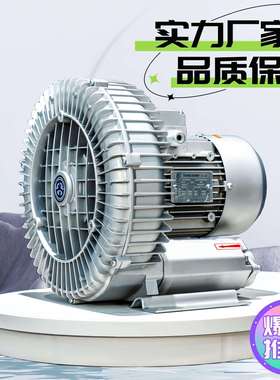 环型高压气泵灌装专用高压风机高压气泵生产公司