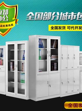 文件柜铁皮柜器械柜办公柜档案资料柜财务凭证柜办公室收纳书柜子