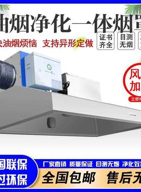 一体机不锈钢饭店排放商用油烟净化器炸鸡环保土灶低空烟罩油烟机