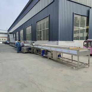 龙虾车厘子圣女果气泡清洗机酱腌菜脱盐海带毛辊洗菜机毛豆去杂机