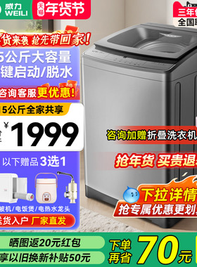 威力15kg超大容量波轮洗衣机家用抗菌全自动洗脱XQB150-2119X