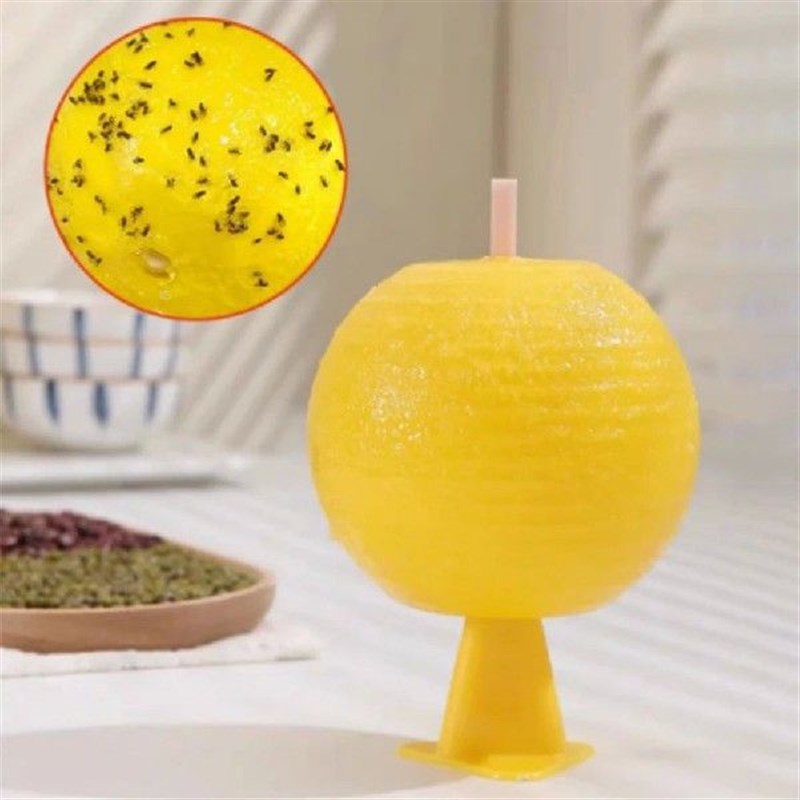 Fruit Fly Traps Sticky Fruit FDly Trap Ball Citrus Shaped