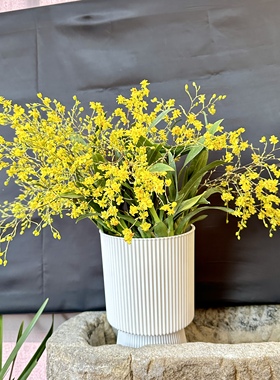 金玉满堂梦香兰