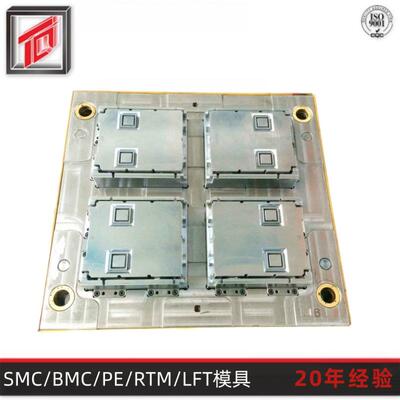 天勤模塑专业生产热固性电表箱模具 BMC模具玻璃钢电表箱模具厂家
