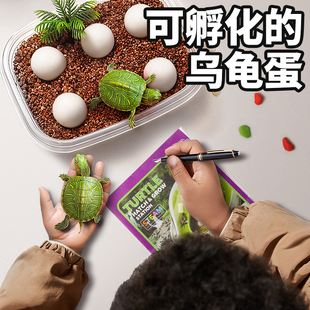 男童玩具男孩生日礼物益智6s岁以上的10儿童12男生2024网红爆款女