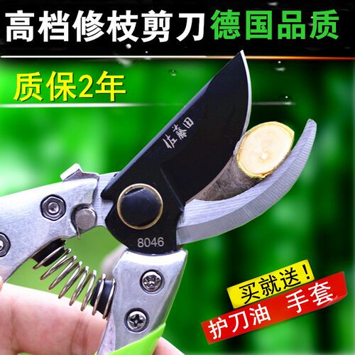 修枝剪刀花剪树枝剪果树剪剪x枝剪子花剪刀枝剪园林剪刀园艺修枝