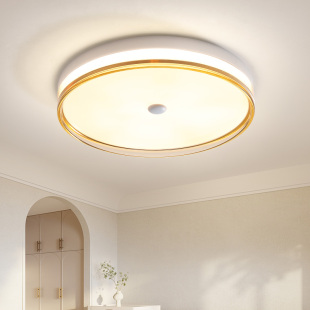 2025新款 主卧室灯led吸顶灯简约现代书房灯圆形阳台护眼房间灯具