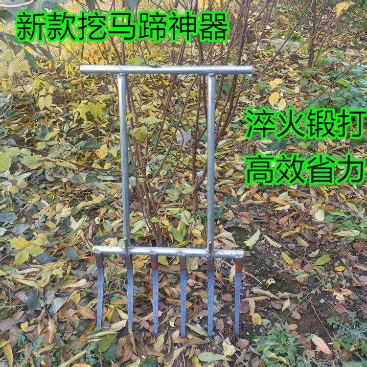 挖马蹄专用工具新款广西老式农用挖荸荠神器万能型挖硬土大钢叉子