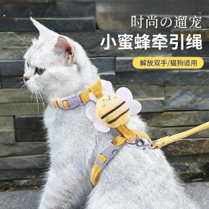 猫咪牵引绳防挣脱外出专用拴溜猫绳工字型网红可调节胸背溜猫绳厂