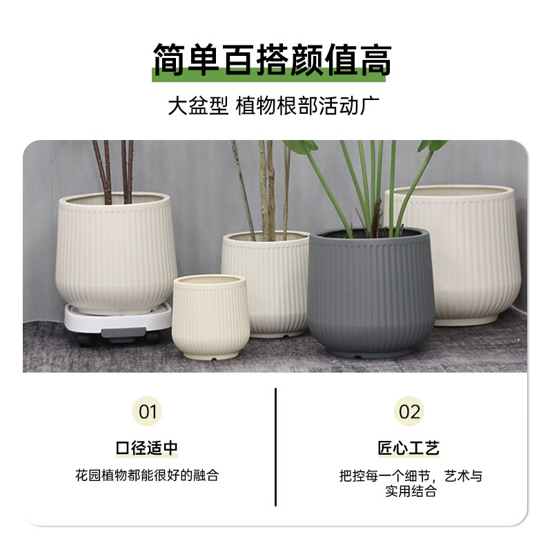 优选花盆轻奢高级感发财树盆景虎皮兰I蝴蝶兰室内大型绿植花.