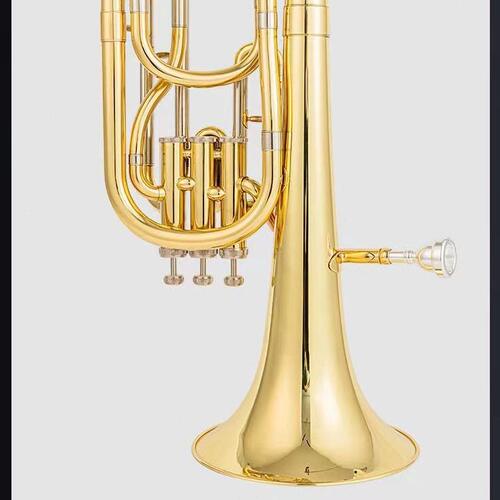 甄选降E调 三立键中音号乐器降B调次中音号上低音号抱号
