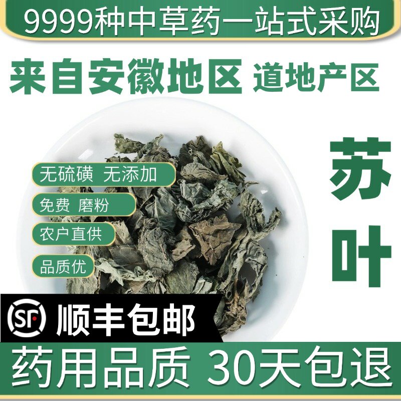 材店铺新货特级野生苏叶食用苏叶青苏叶茶新鲜泡澡50g克