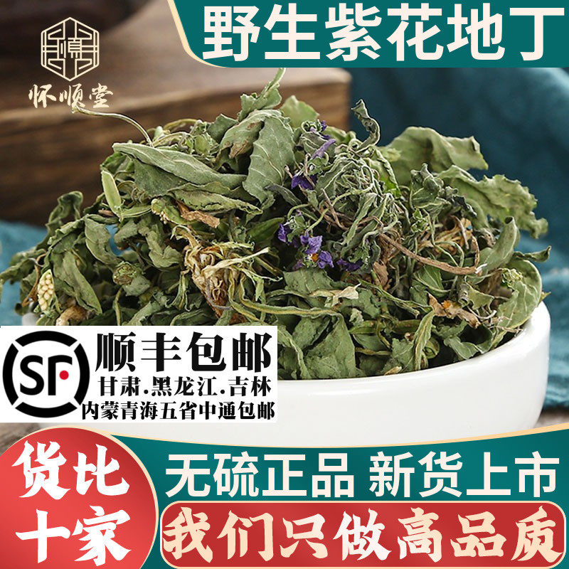 野生紫花地丁材500g克新货犁头草地丁草材地丁地丁茶泡水