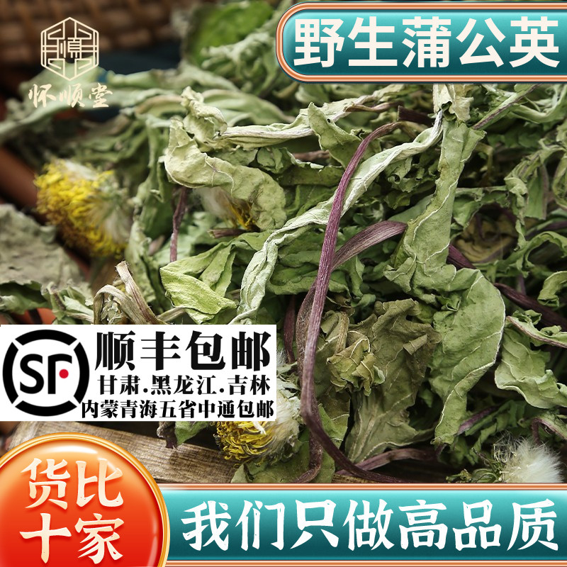 野生蒲公英切片500g克蒲公英特级干货蒲公英根新鲜材