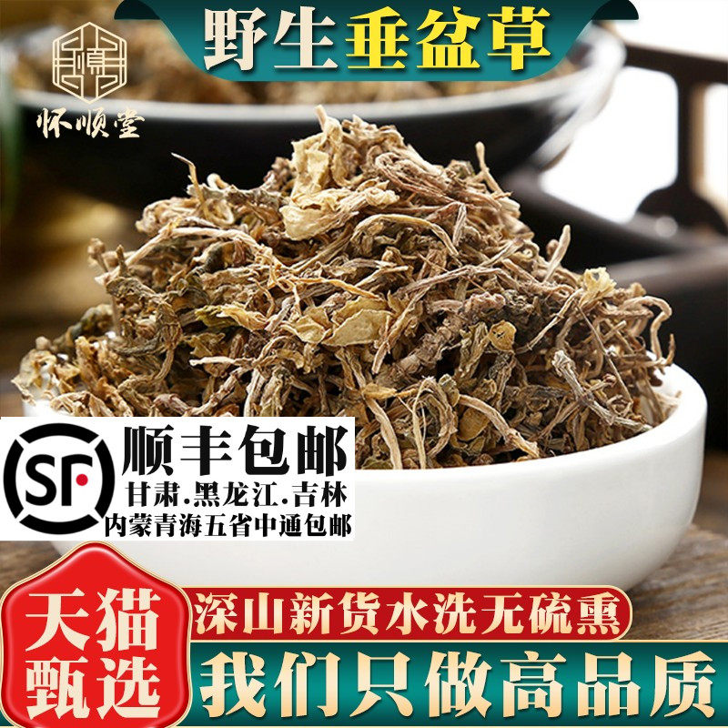 野生垂盆草500g250g100g克材新鲜干货泡水垂盆草的功效狗牙草
