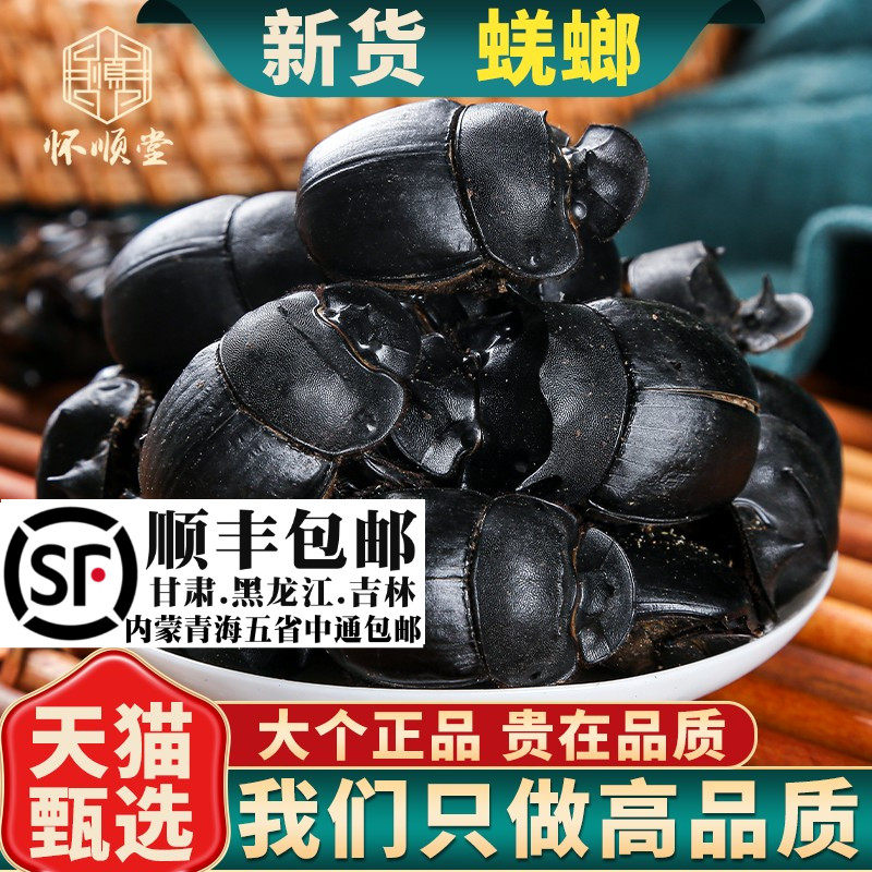 新货野生蜣螂材100g/50g屎壳郎 圣甲虫大将军 清水蜣螂虫