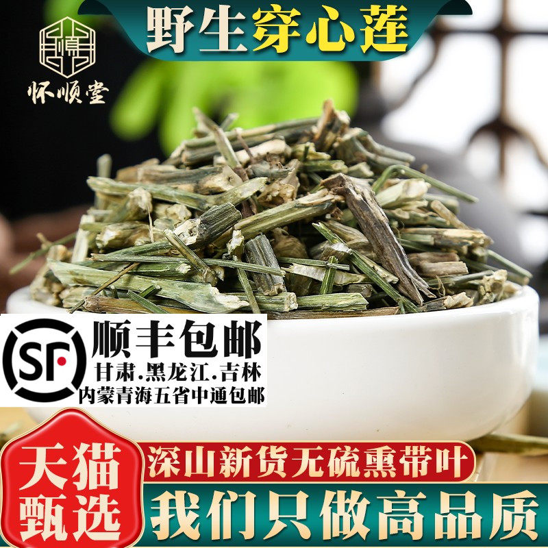 穿心莲材500克250g穿心莲粉穿心连川心莲金香草穿心莲粉
