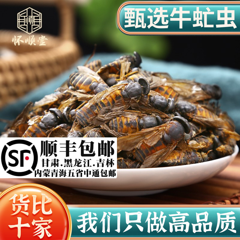牛虻虫100克g 虻虫粉 牛虻 牛蚊子 牛苍蝇瞎虻虫牛虻干材