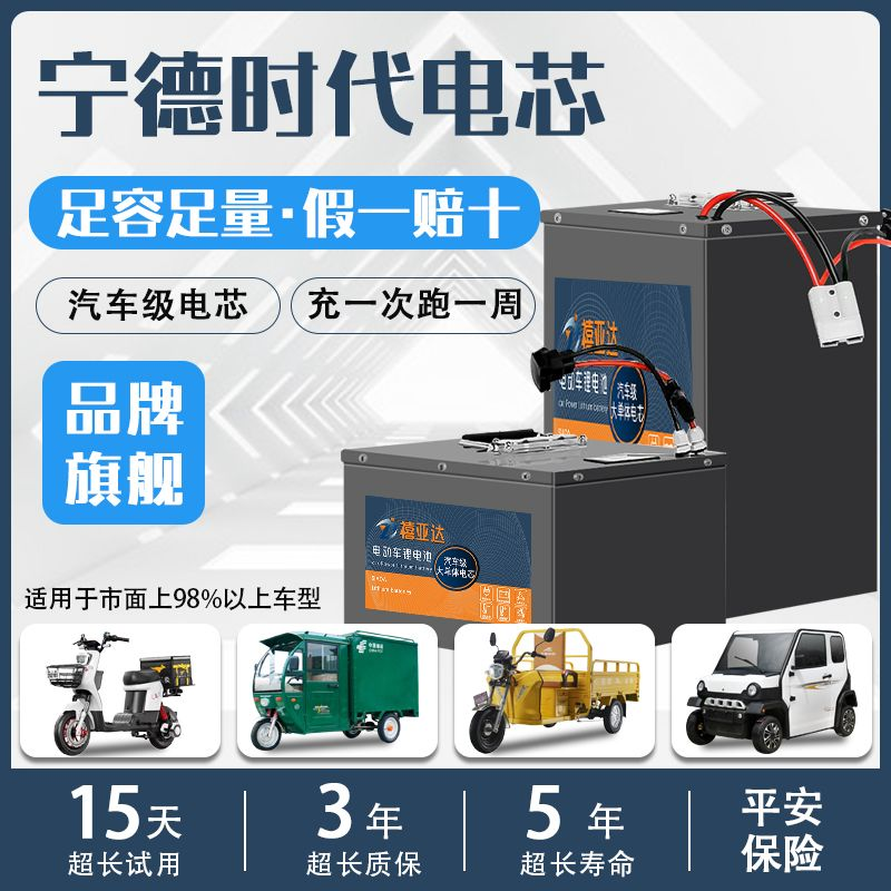 禧亚达外卖电动车锂电池4