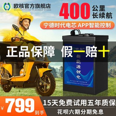 欧核宁德时代电动车锂电