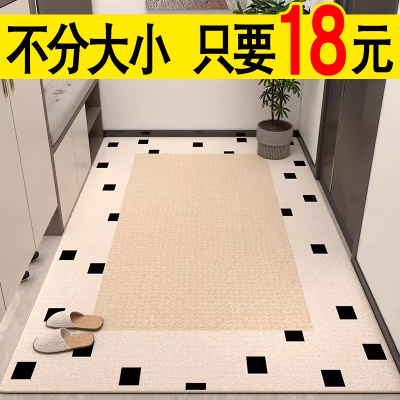入户门垫防滑脚垫子门厅客厅踩脚地毯F定制轻奢现代家用进门口地