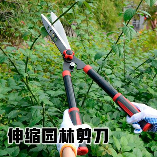 园林园艺修枝剪不锈钢伸缩加长省力大剪刀绿化花园树枝修理剪刀