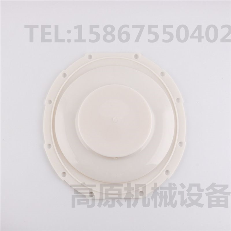 8296700.8171 8297700.8191 2寸 脉冲阀 膜片维修包